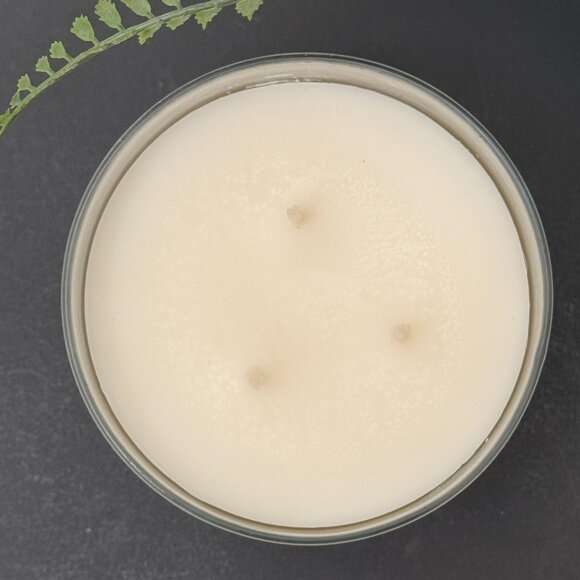 BBW Frozen Lake White Barn Bath & Body Works 3 Wick Candle - Picture 7 of 10